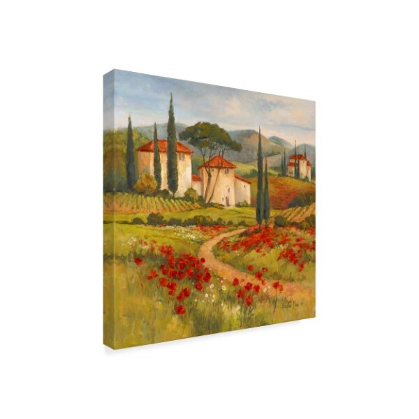 Barbara Mock ' Tuscan Dream' Canvas Art,24x24